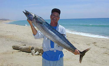 Bill Mathias: La Paz Roosterfish King