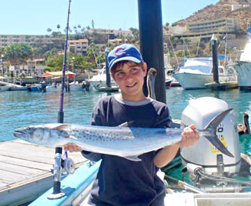 Sierra caught from a panga at Cabo San Lucas.