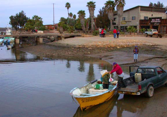 San Quintin Fishing Reports And Sportfishing Vacation Information