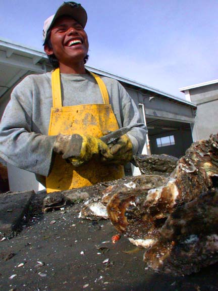Photo of Guadalupe Paniagua cleaning oysters at San Quintin, Mexico.
